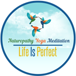 Yoga and Meditation Teacher Training Course  Life Is Perfect