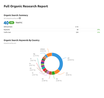 Comprehensive Organic Research Report For Your Business Website