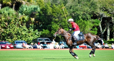 Sports Nutrition for Polo Players