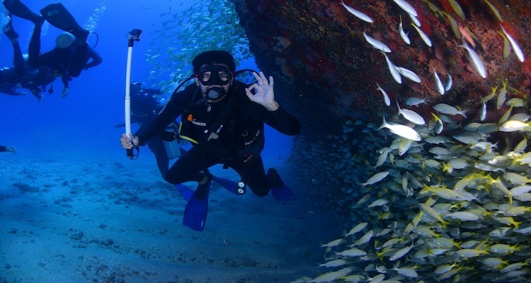The Mental Health Benefits of Scuba Diving for Top Athletes