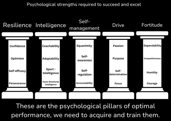 The Psychological Pillars for Optimal Performance